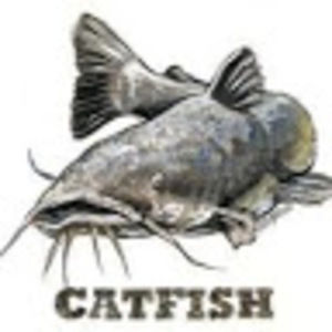 Meet your Posher, Harold